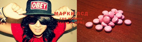 сатива Магадан