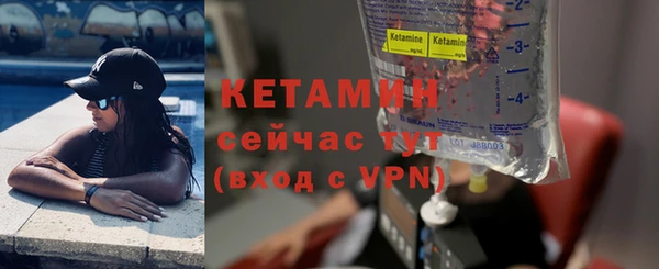 сатива Магадан
