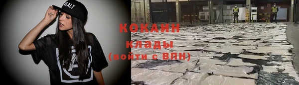 сатива Магадан