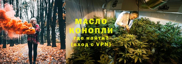 сатива Магадан