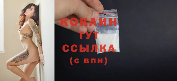 мяу мяу мука Магас